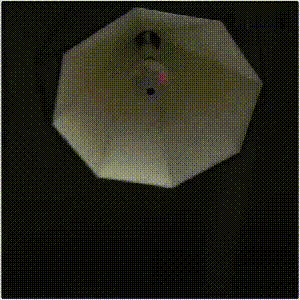24.gif