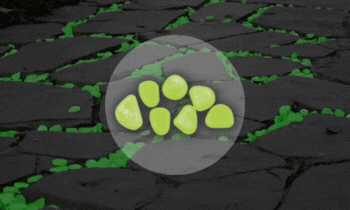 ULTRALIGHT PRO (600 × 300 px) (350 × 210 px) (10).gif