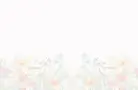 new-contact-bg.webp