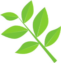 article-leaf.png