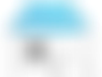 今日は