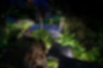 Night time photo of garden decking and lighting