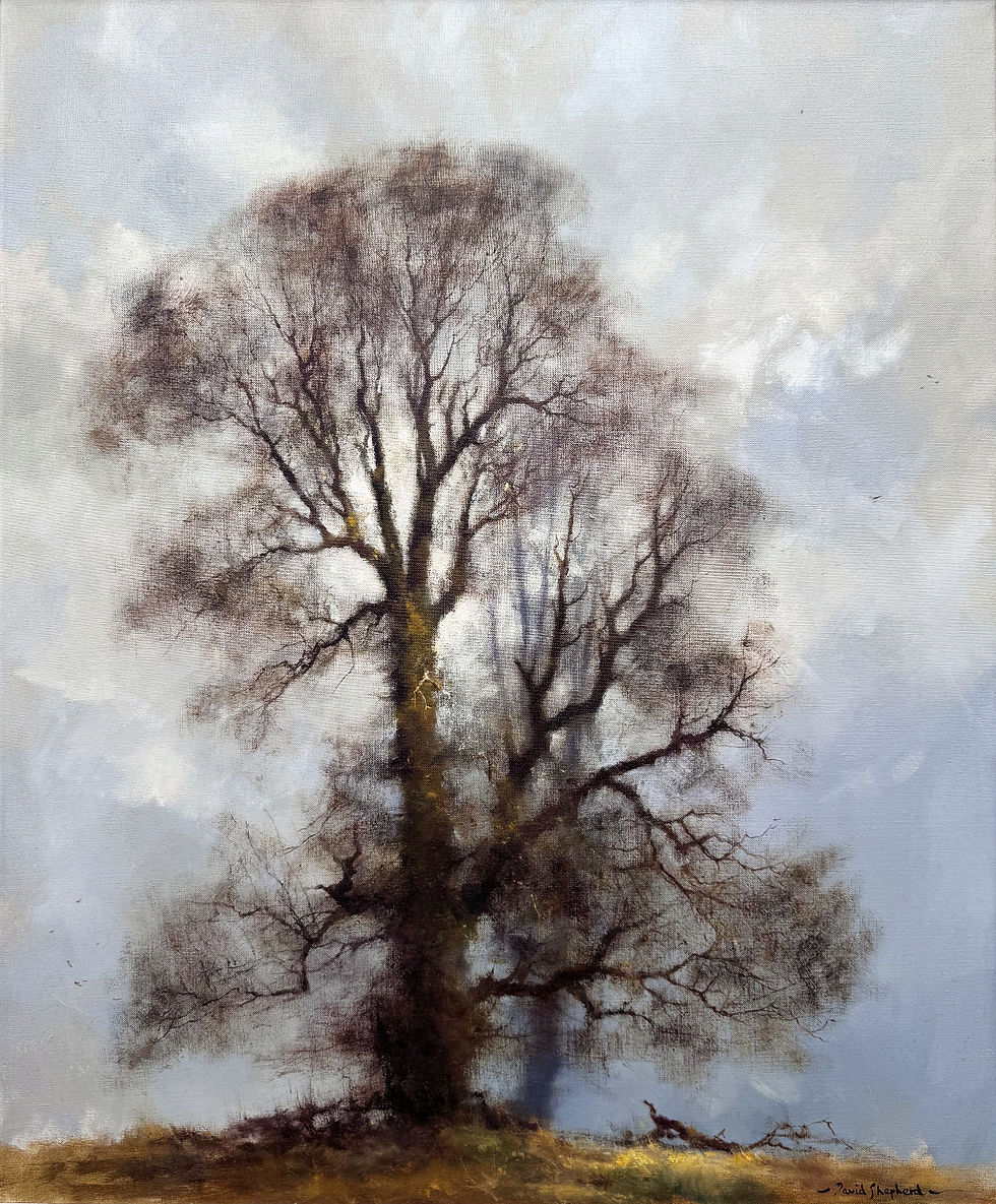 DAVID SHEPHERD | Elm
