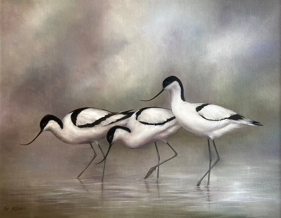 BARBARA RAE NORRIDGE | Elegance