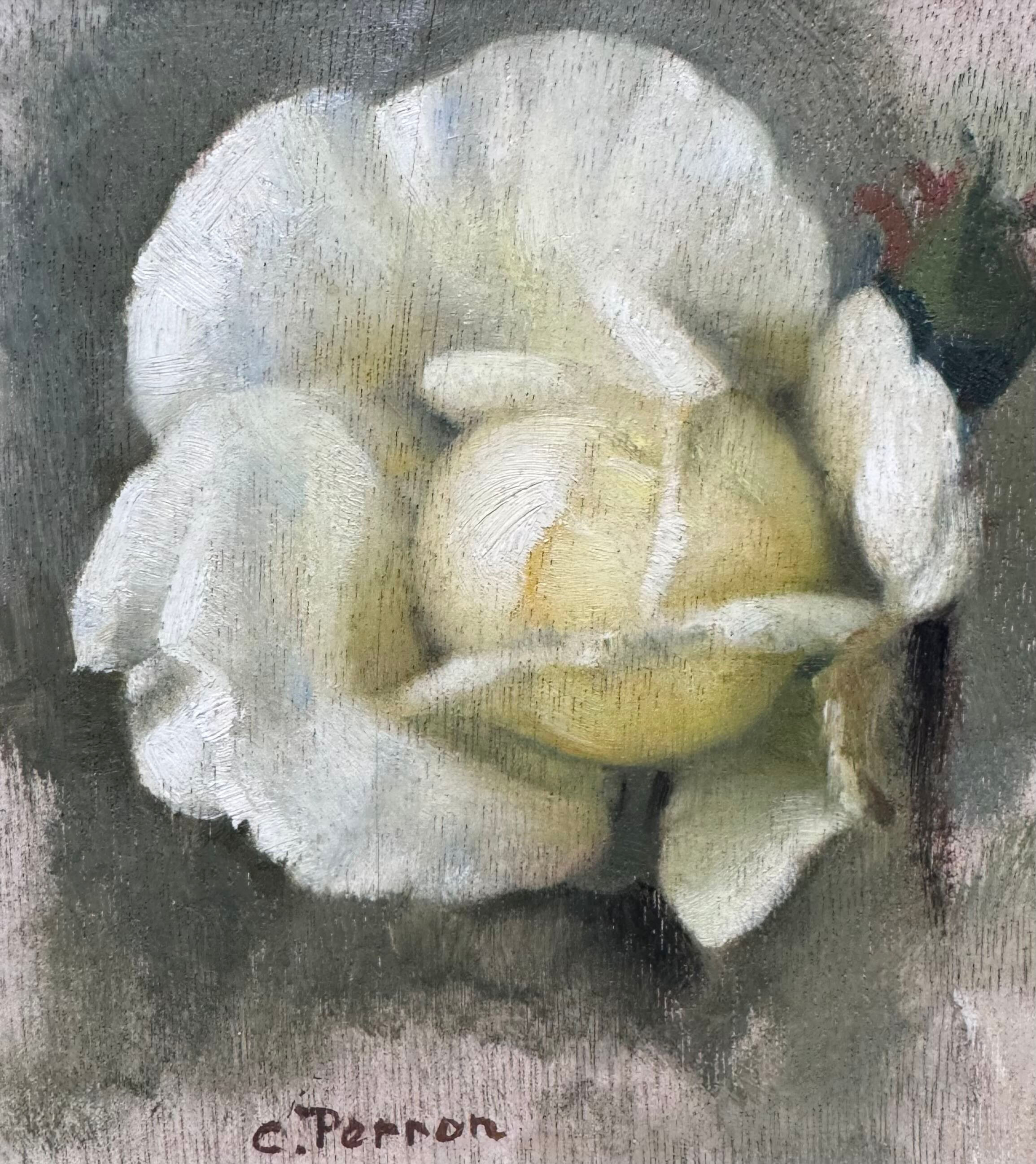 CHARLES PERRON | Rose