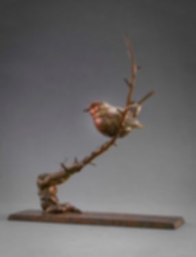 NICK BIBBY | Robin III