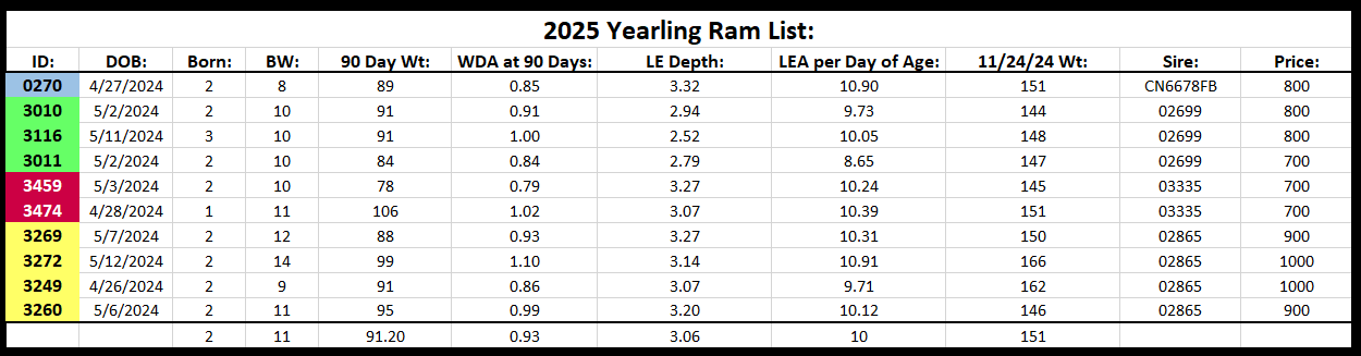 2025 Yearling Rams for sale.png
