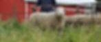 Ile de France Ram