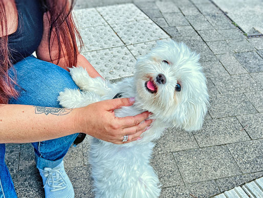 Frau mit Hund