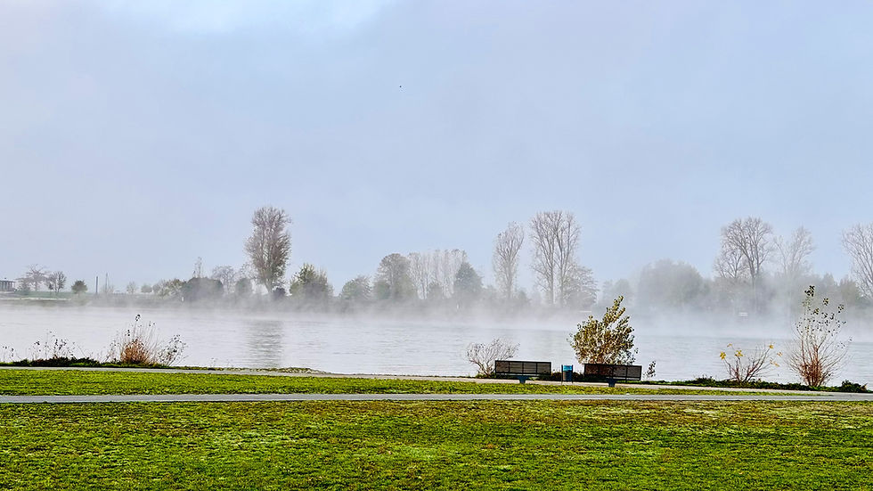 Mondorf am Rhein