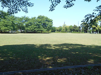 DSCN2893.JPG