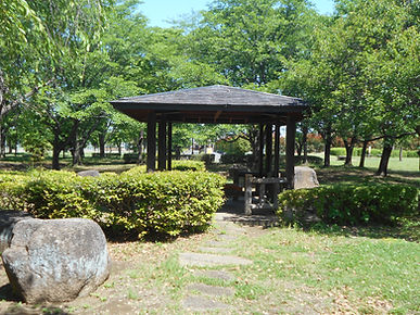 DSCN2891.JPG