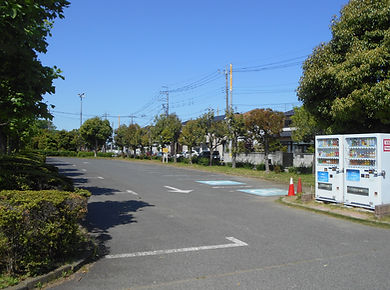DSCN2879.JPG