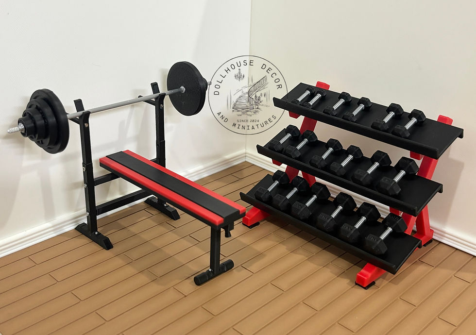 Thumbnail: 1:12 Dumbbell Rack and bench press