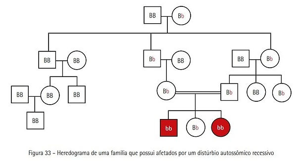 Heredograma de família com afetados por distúrbio autossômico recessivo.jpg