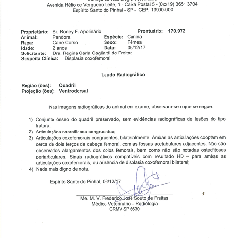 Laudo de Displasia