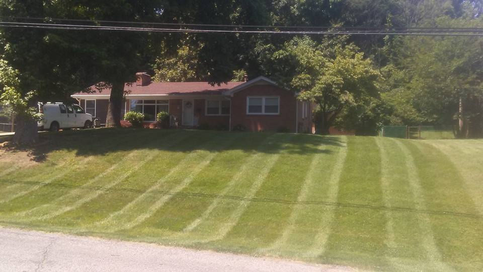 yard cut