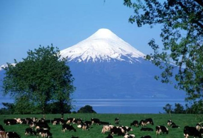 articles-29167_recurso_jpg_edited.jpg