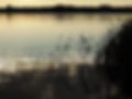 lake-1729503_1920.jpg