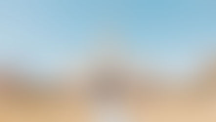 Hali & Jeron Wedding