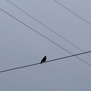 DSC_0016.JPG