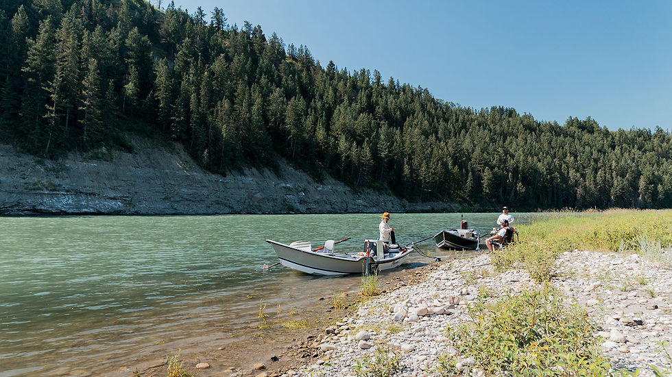 Bow River Water Temperature and Trout Feeding Windows