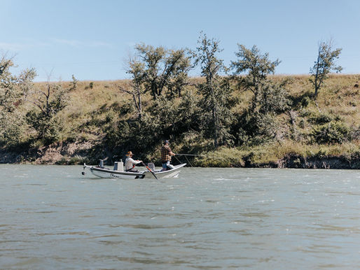 Bow River Water Temperature and Trout Feeding Windows