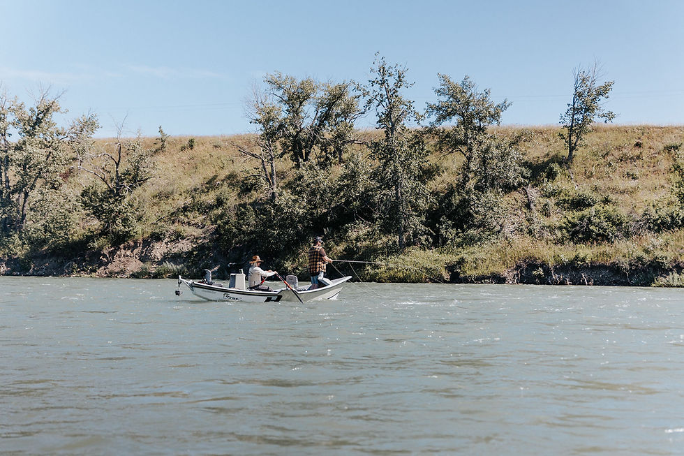 Bow River Water Temperature and Trout Feeding Windows
