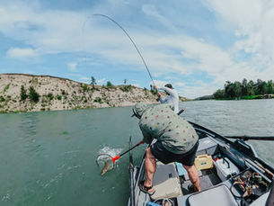 Fly Fishing in Calgary: What Makes the Bow River Different From Other Trout Rivers