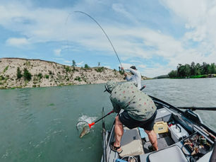 Fly Fishing in Calgary: What Makes the Bow River Different From Other Trout Rivers