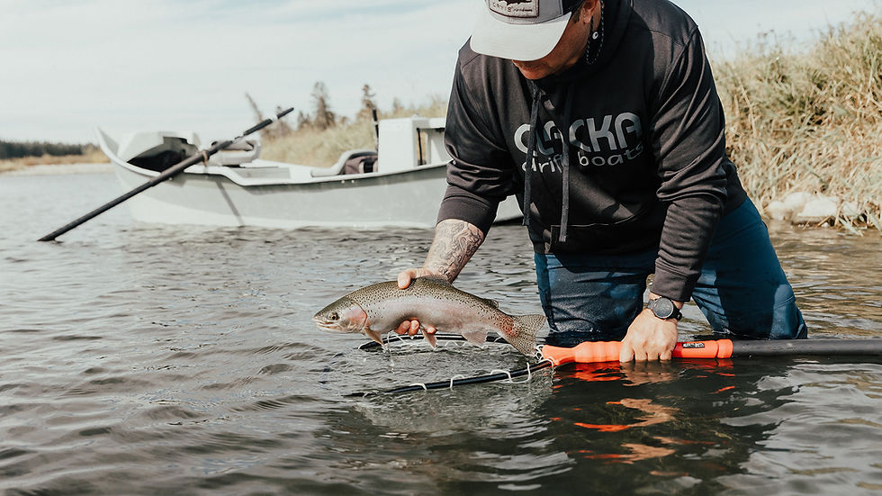 Fly selection on the Bow River
