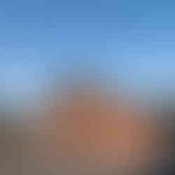 Fliegendes Schlachthaus