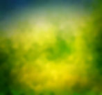 green-texture_edited.jpg