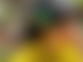 Chunks Founder Tiffany Ju Revives '90s Hair Clip Mania! 