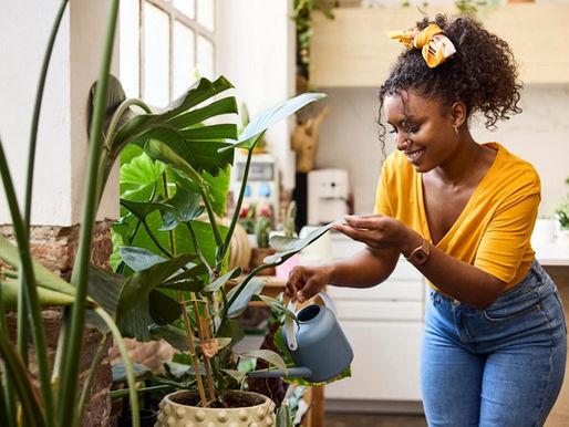 Spelman College students invent a way for plants to talk with the help of AI