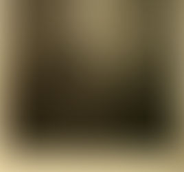 Jesse Mercer's, the founder of Mercer University, Connection to Henry County.