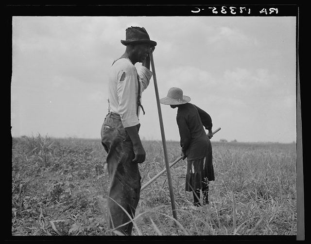 Sharecroppers in Greene County