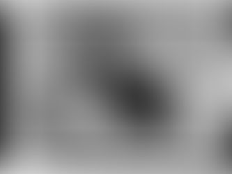 What's Cooking: Food in 19th Century Henry County