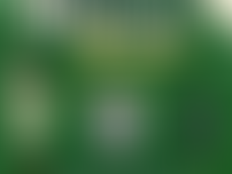 Emerald Reimagined Recap: From Vision to Victory – Celebrating 10 Years Bold