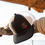 Thumbnail: Crest Embroidered Hat