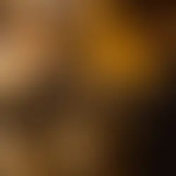 Guide to find a job in the Netherlands