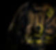 oath-site-graphics06_edited.jpg