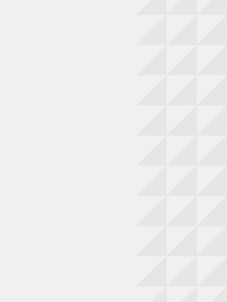 Pattern Bruna - Site.png