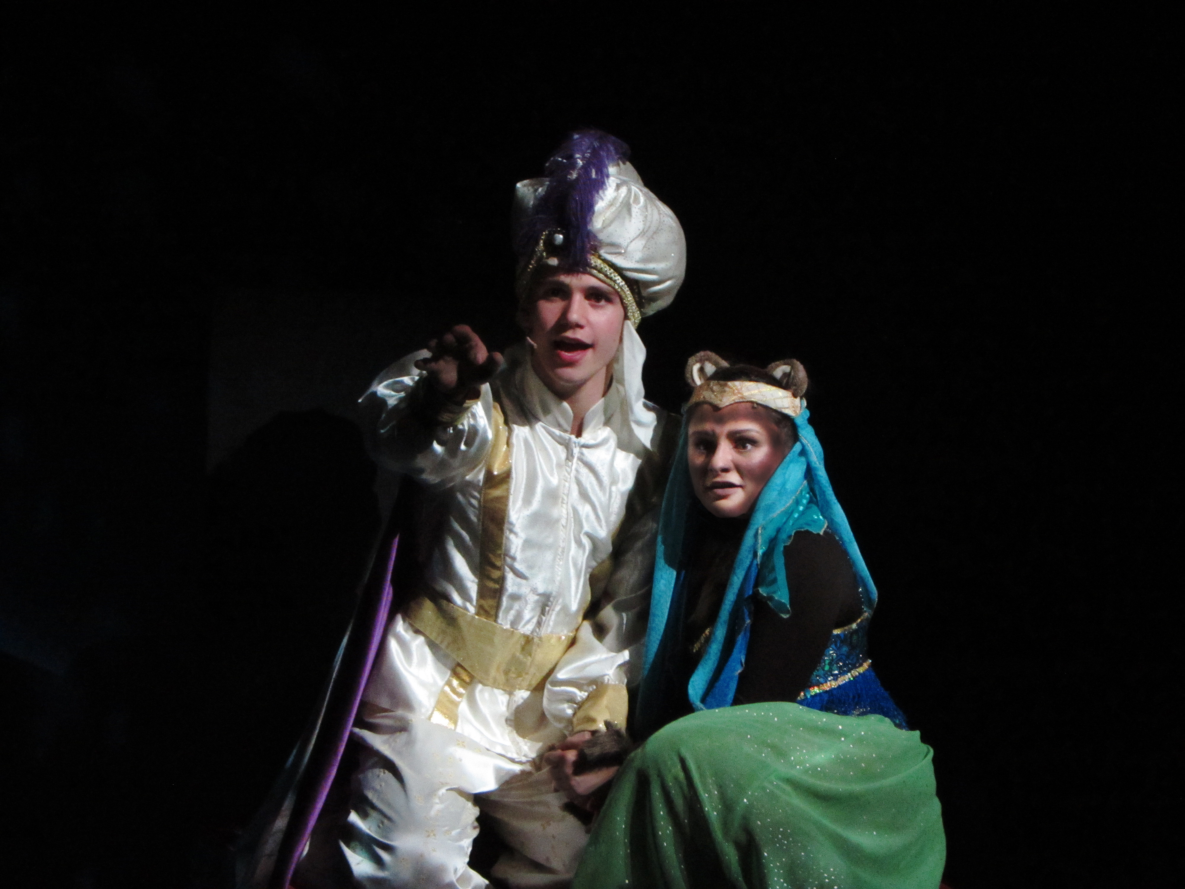 Robin & Clark's Aladdin