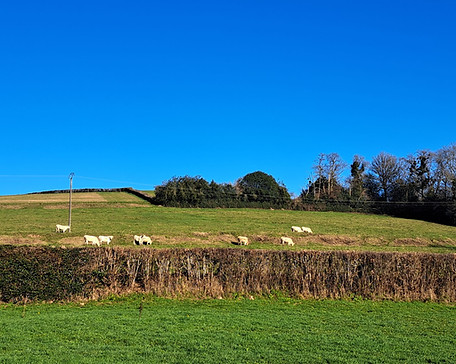 heuvel achter