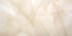 AdobeStock_906853083.jpeg