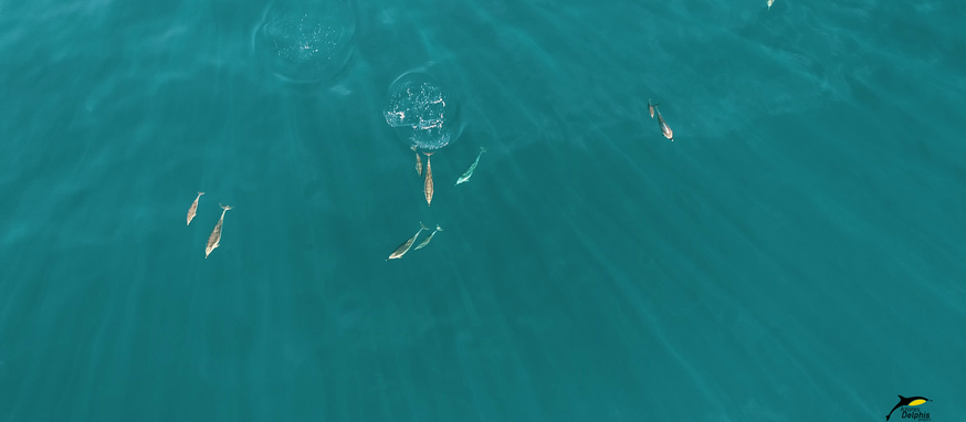 Unique sightings #2