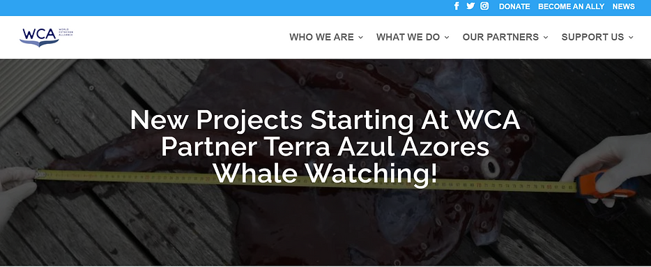2022-01-09 12_04_58-New Projects Starting At WCA Partner Terra Azul Azores Whale Watching!