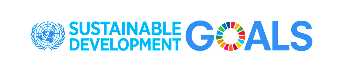 sdg-logo_edited.png