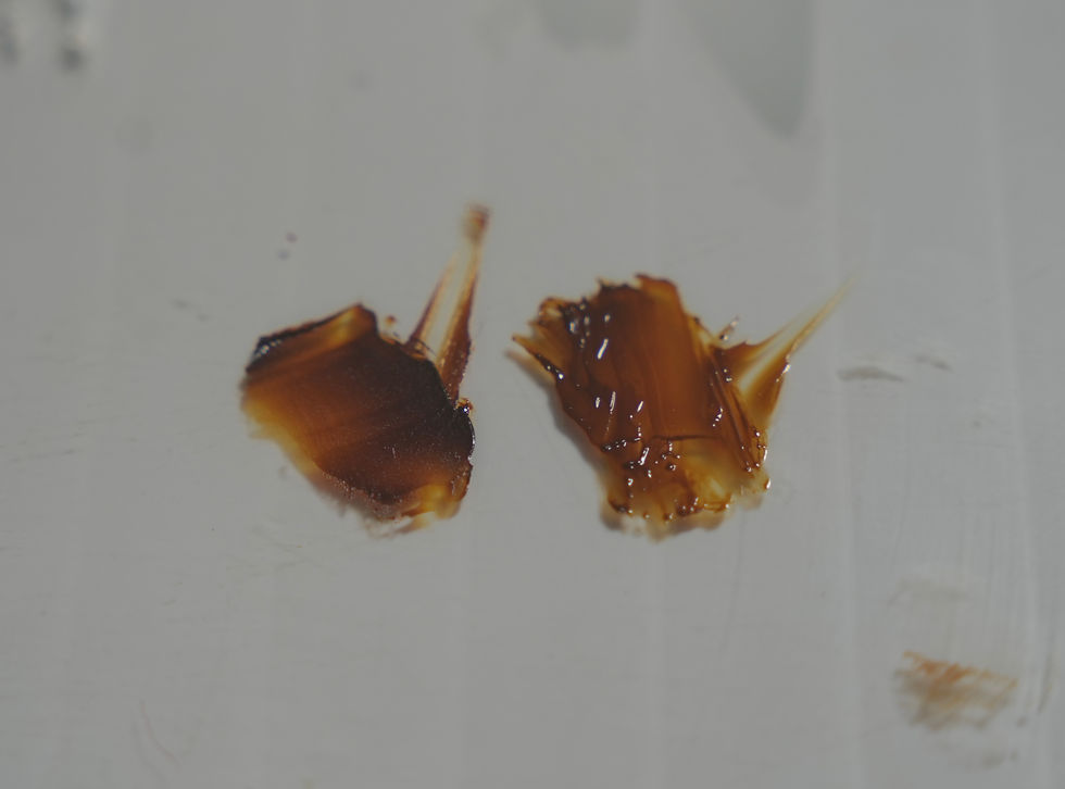 One can easily observe here that Rembrandt Transparent Yellow Oxide (right) has significantly more oil added to the tube than Rublev Transparent Yellow Iron Oxide (left).